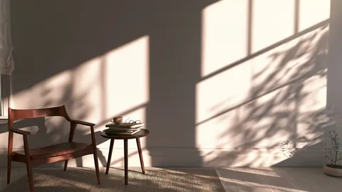 The Best-Lit Room Lost the Day